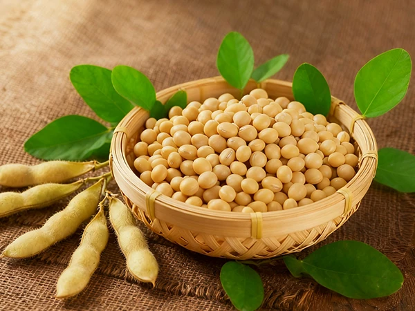 Beans