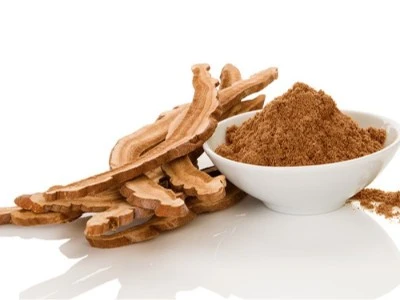 Reishi Mushroom Powder