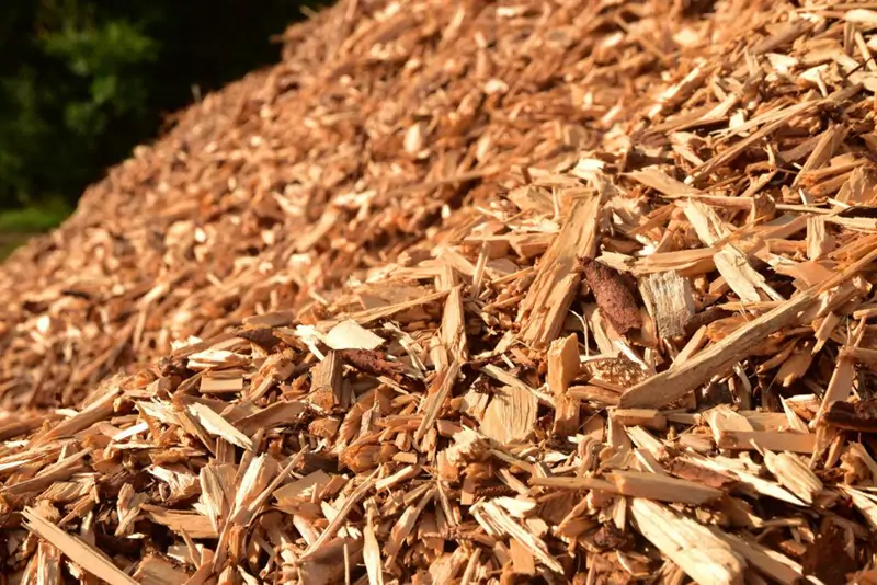 Environmental Protection & Recycling