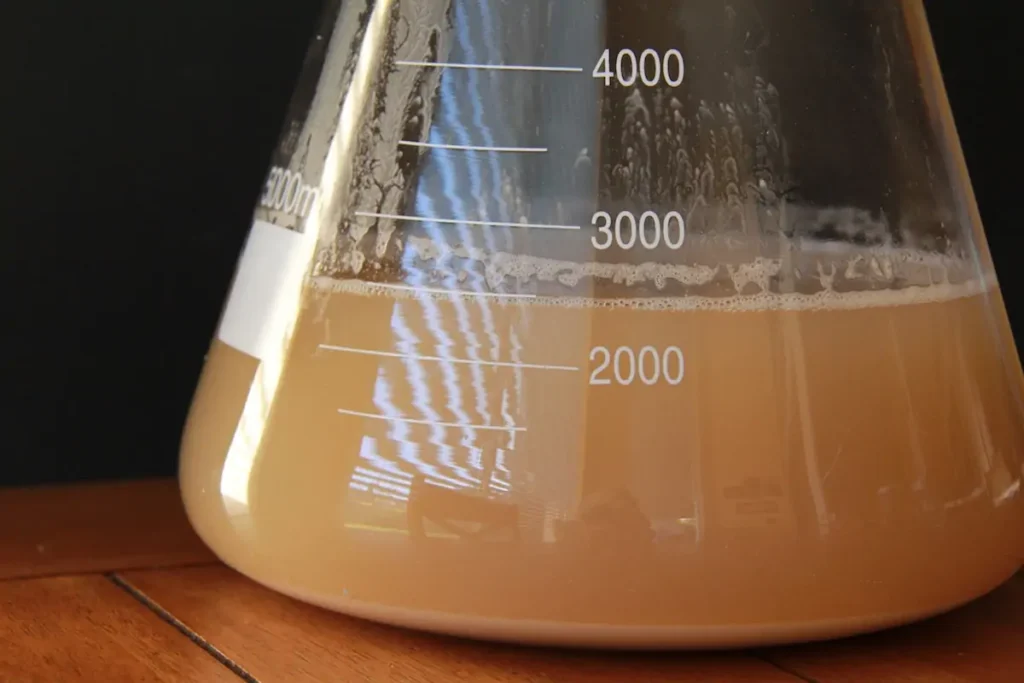 Yeast Slurry