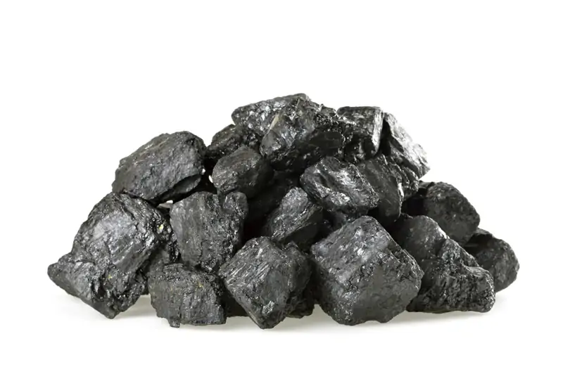 Coal