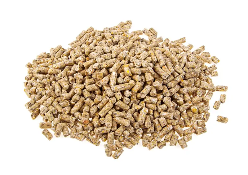 Animal Feed Pellets